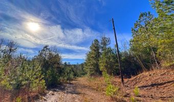 0 County Road 25, Reform, AL 35481