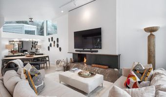 1001 E Cooper Ave 1, Aspen, CO 81611