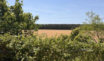 236 Brinkleyville Rd, Ahoskie, NC 27910