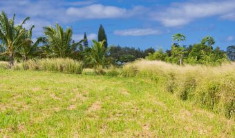 54-1119 MAHIAI Pl, Kapaau, HI 96755