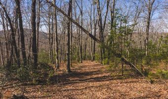 Ararat Highway, Ararat, VA 24053