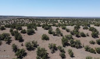 2 N8604, Concho, AZ 85924