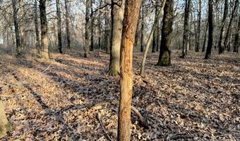 0002 CR-290, Asbury, MO 64832