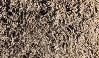 0 Thomas Rd, Altoona, KS 66710