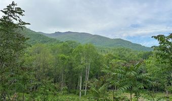 Pumpkin Patch Road, Bakersville, NC 28705