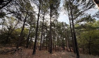 2548 County Road 2690, Alvord, TX 76225