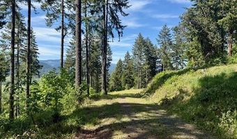 Alder Branch RD, Springfield, OR 97478
