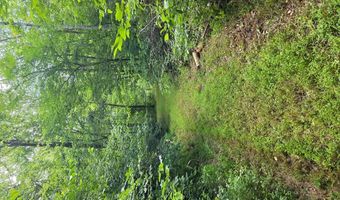 1408 Coleman Mountain Rd, Appomattox, VA 24522