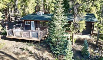 110 Pine Tree Ln, Almont, CO 81210