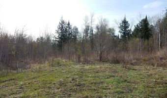 Burton Hill Road, Barton, VT 05822