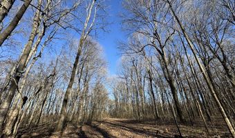 6075 Curtis Rd, Batesville, MS 38606