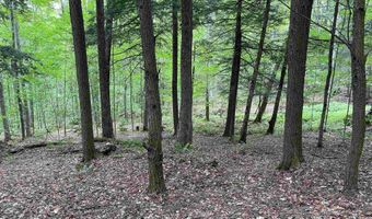 101 Jug Brook Rd, Cabot, VT 05647