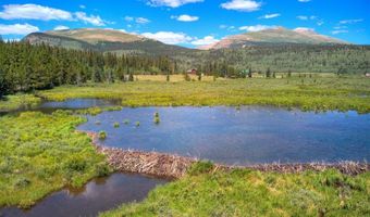 412 Kootchie Kootchie Rd Lot 0, Alma, CO 80420