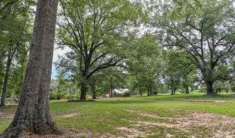 4496 AL Hwy 130, Banks, AL 36005