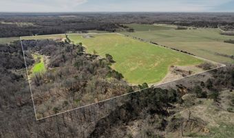 County Road 208, Abbeville, MS 38601
