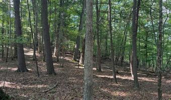 572 Dameron Rd, Ballard, WV 24918