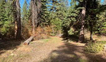 541 W Mountain Rd Lot 58, Cascade, ID 83611