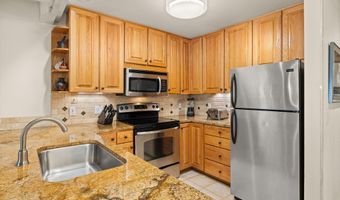 610 S West End St H202, Aspen, CO 81611