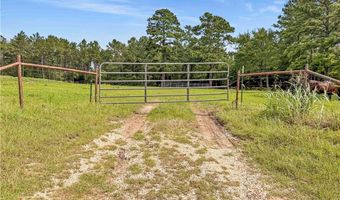 6779 County Road 215, Anderson, TX 77830