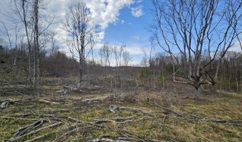 295 Shellstone Rd, Amsterdam, NY 12010