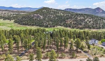 163 Old Corral Rd, Bailey, CO 80421
