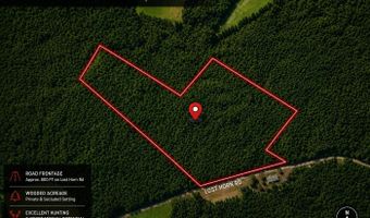 1 Lost Horn Rd, Branchville, SC 29432
