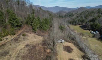 10999 Rush Fork Rd, Clyde, NC 28721
