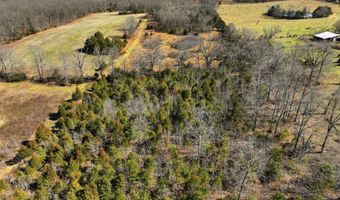 2479 County Road 304, Alton, MO 65606