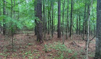 2780 Jackson Liberty Rd, Bogue Chitto, MS 39629