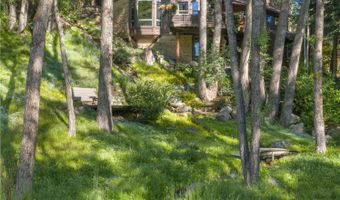 115 Neale Ave, Aspen, CO 81611