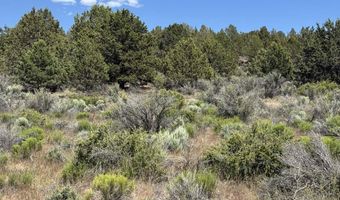 Medicine Mountain Drive 1, Beatty, OR 97621