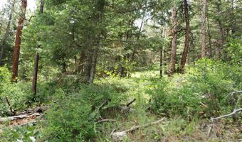 Arlee Pines lot 21, Arlee, MT 59821