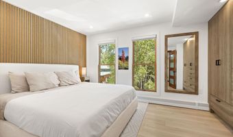910 W Hallam St 9, Aspen, CO 81611