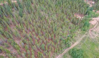 427 Wise Rd, Bailey, CO 80421