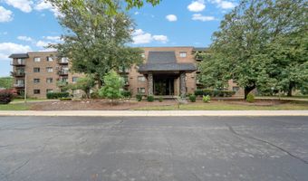 239 N Mill Rd 217, Addison, IL 60101