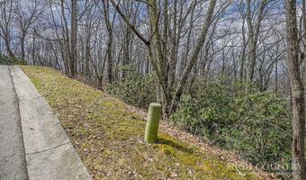 TBD Lot # 46 Woodlily Drive, Banner Elk, NC 28604