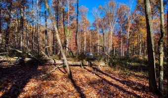 54 E Ridge Rd, Allardt, TN 38504