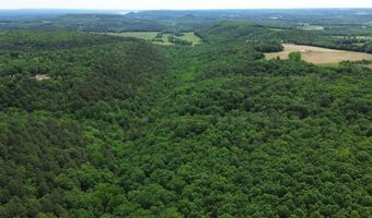 E Mountain Road, Bee Branch, AR 72013