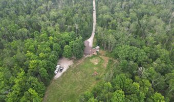 6555 Monaghan Point Rd, Alpena, MI 49707