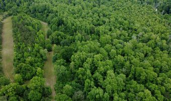 Fowler Road, Ashford, AL 36312