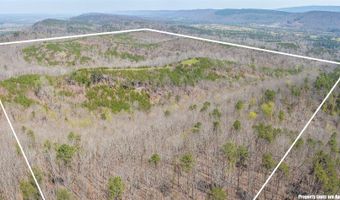163 Acres Duck Springs Rd, Attalla, AL 35954