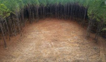 00002 Trickhambridge Rd, Brandon, MS 39042