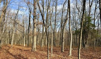 Farm Rd 1187 Lc, Ash Grove, MO 65604