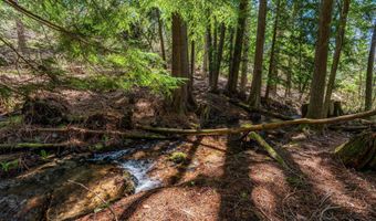 1142 Salee Creek Rd, Bayview, ID 83803