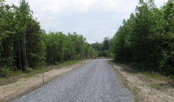 EASEMENT OFF OF SHORTLY RD lot B, Georgetown, DE 19947