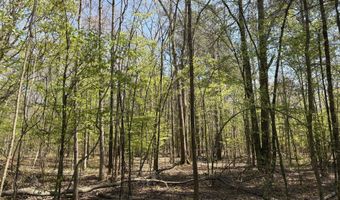 SW Auburn Drive, Bogue Chitto, MS 39629