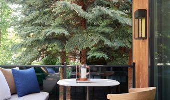 500 W Smuggler St, Aspen, CO 81611