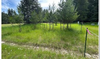 NNA Kokanee Rd, Bonners Ferry, ID 83805