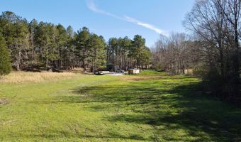 217 281, Banner, MS 38913