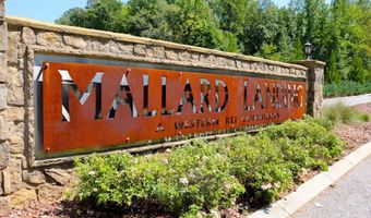 1084 Gadwall Dr, Alabaster, AL 35007